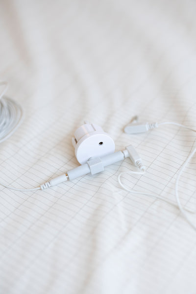 Earthle Earthing Krokodillenklemme